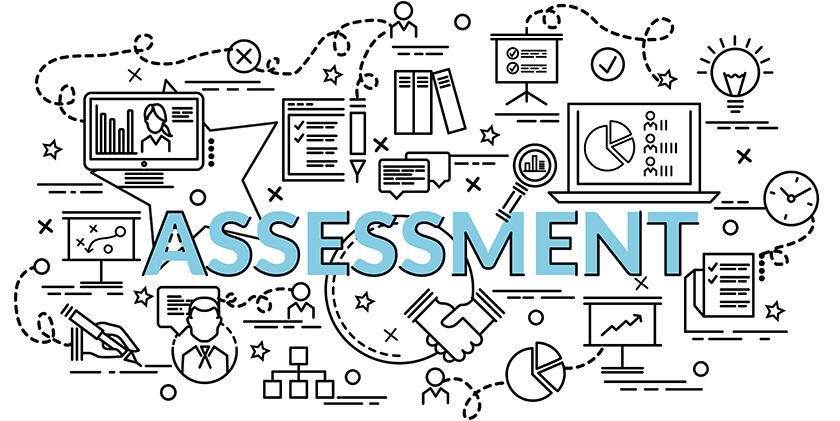 Nally Ventures Leadership - Assessments